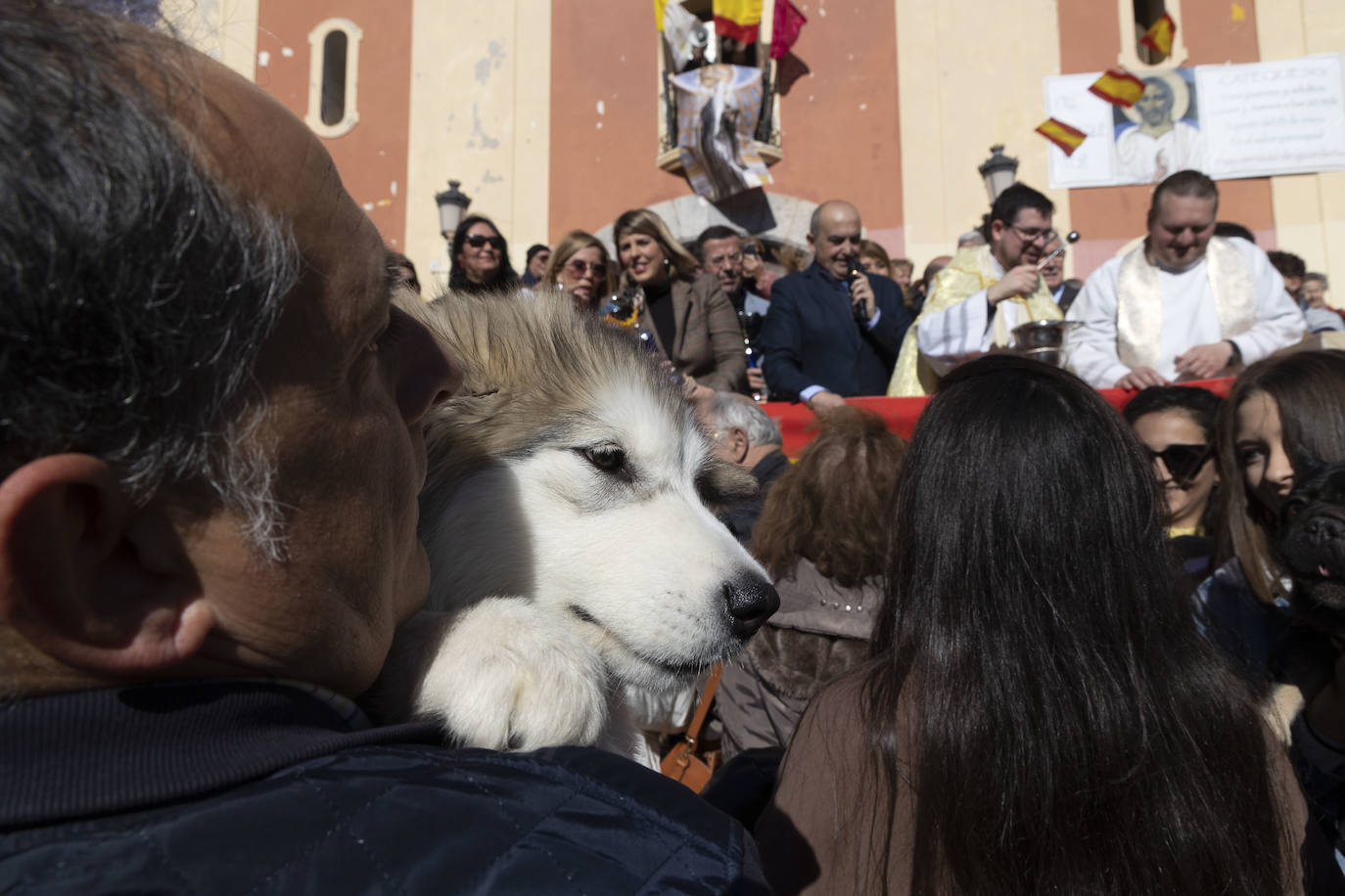 Fotos: Bendición de animales en Cartagena
