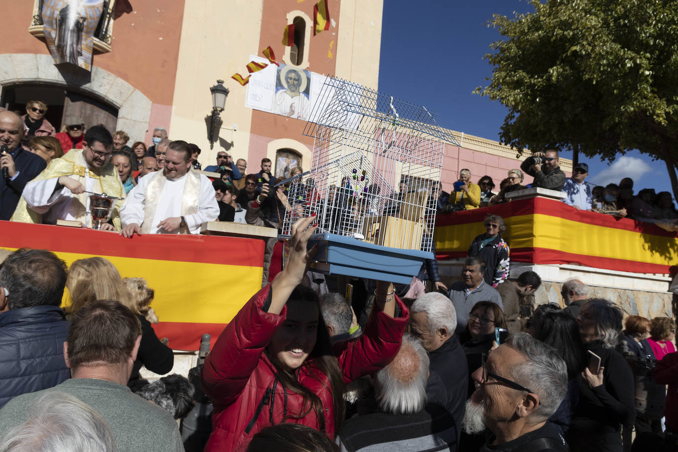 Fotos: Bendición de animales en Cartagena