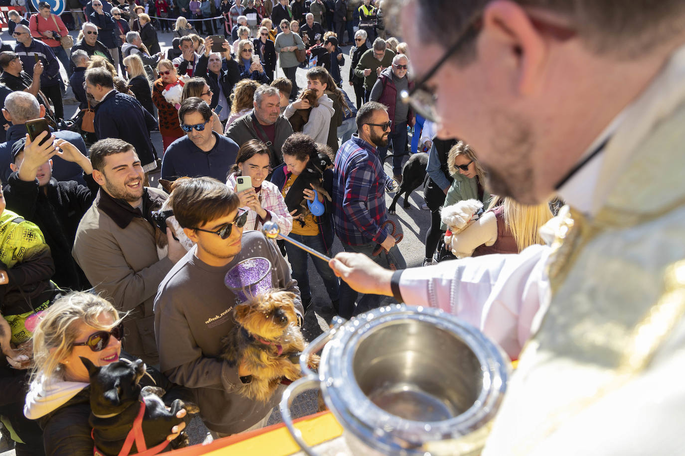 Fotos: Bendición de animales en Cartagena