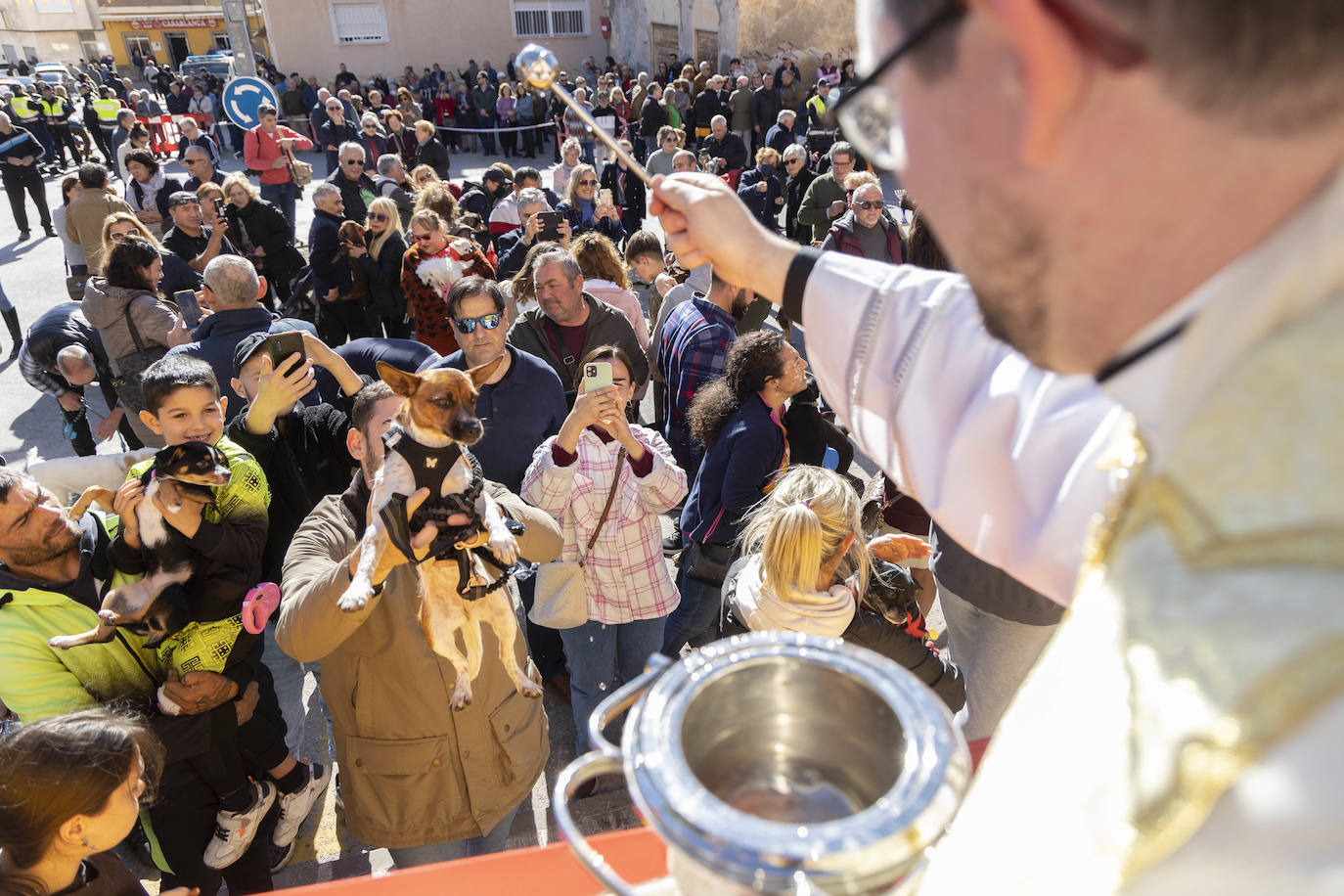 Fotos: Bendición de animales en Cartagena