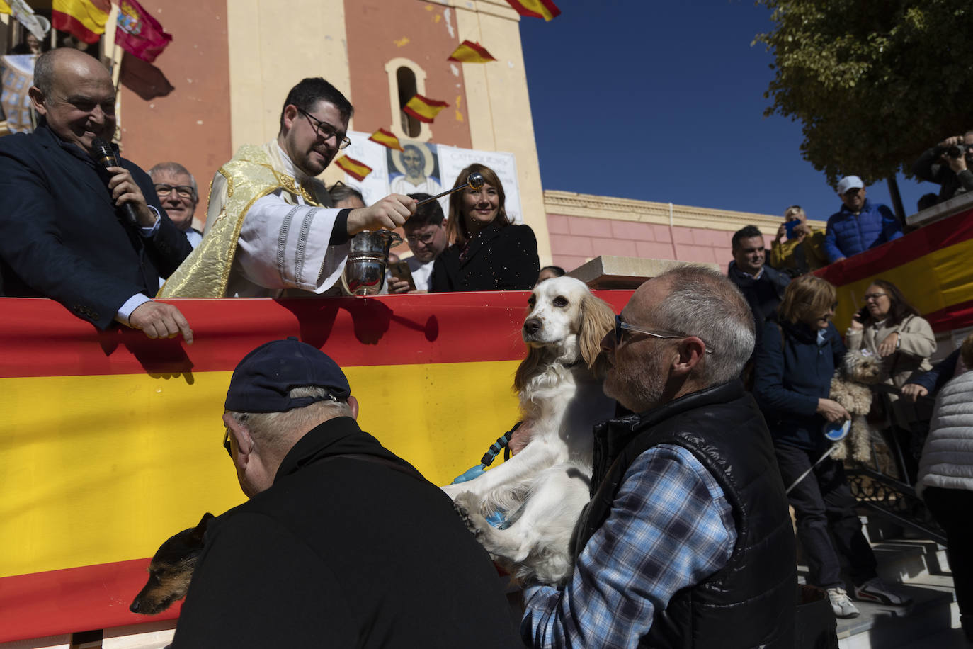 Fotos: Bendición de animales en Cartagena