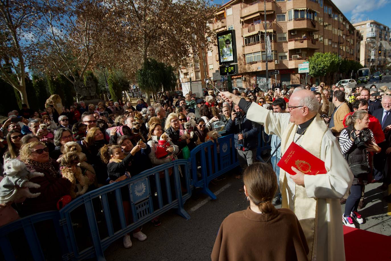 Fotos: Bendición de animales por San Antón en Murcia, en imágenes