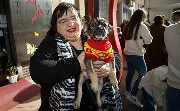 Galería. Bendición de animales por San Antón en Murcia.