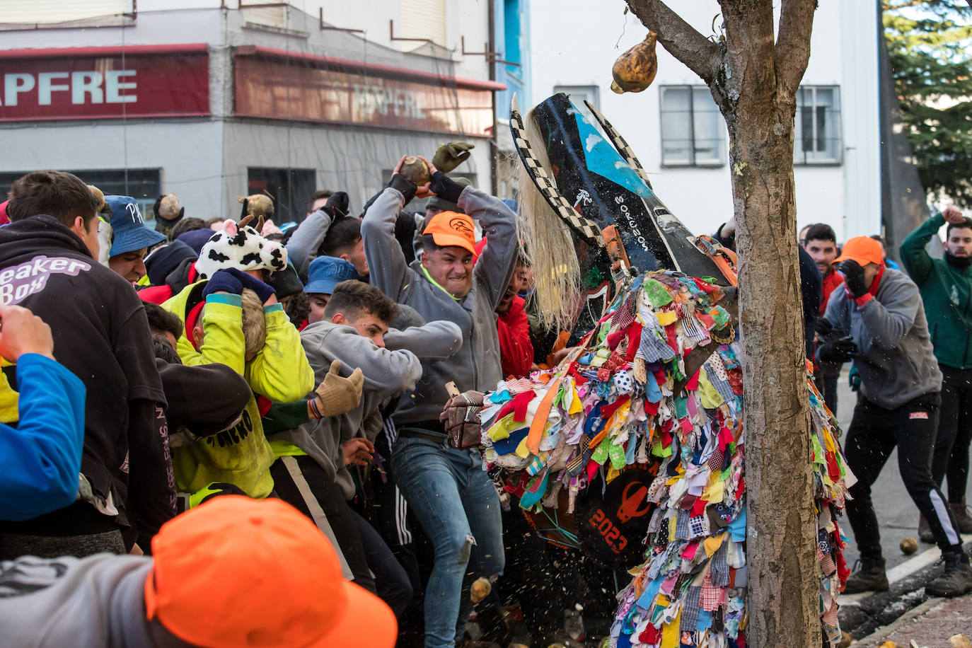 Fotos: 30 toneladas de nabos contra el Jarramplas