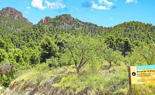 Parque Regional sierra de La Pila. 