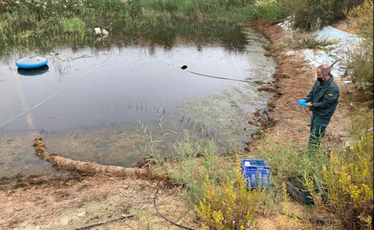 Un agente del Seprona, en una de las fincas afectadas por los residuos. La foto forma parte del sumario judicial. 