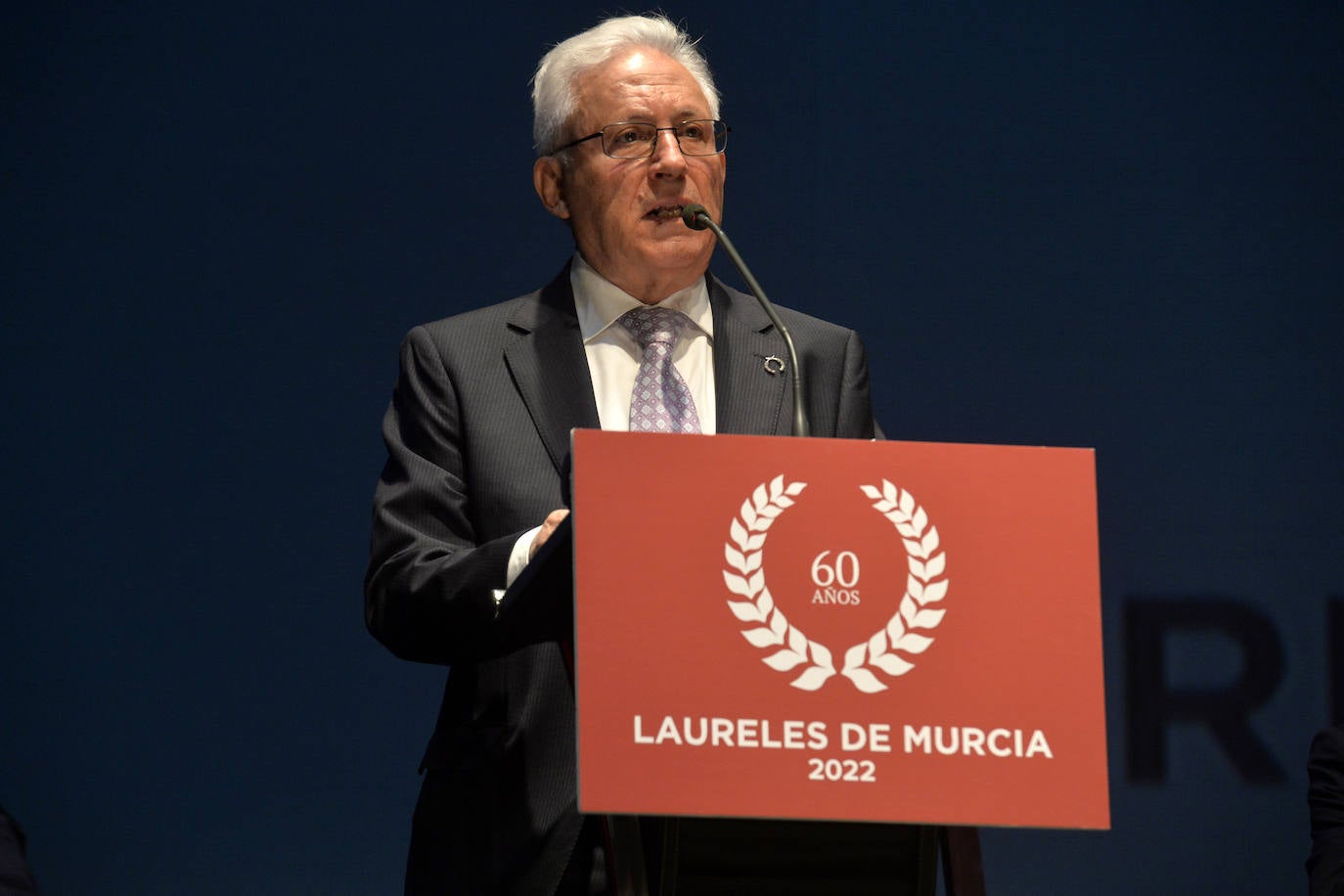 Fotos: Entrega de los premios Laureles en Murcia, en imágenes