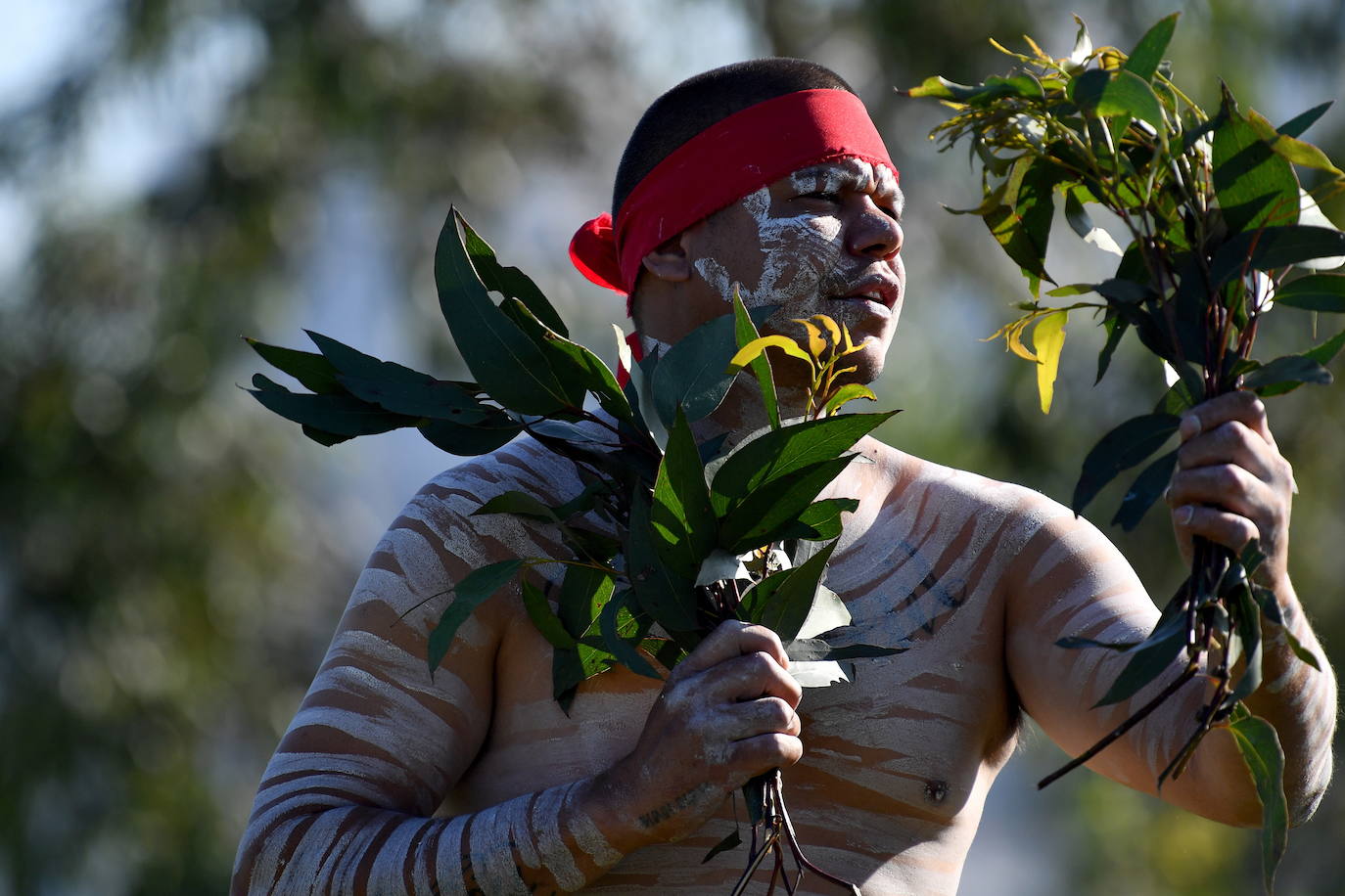 Fotos: La ceremonia del Día de Australia