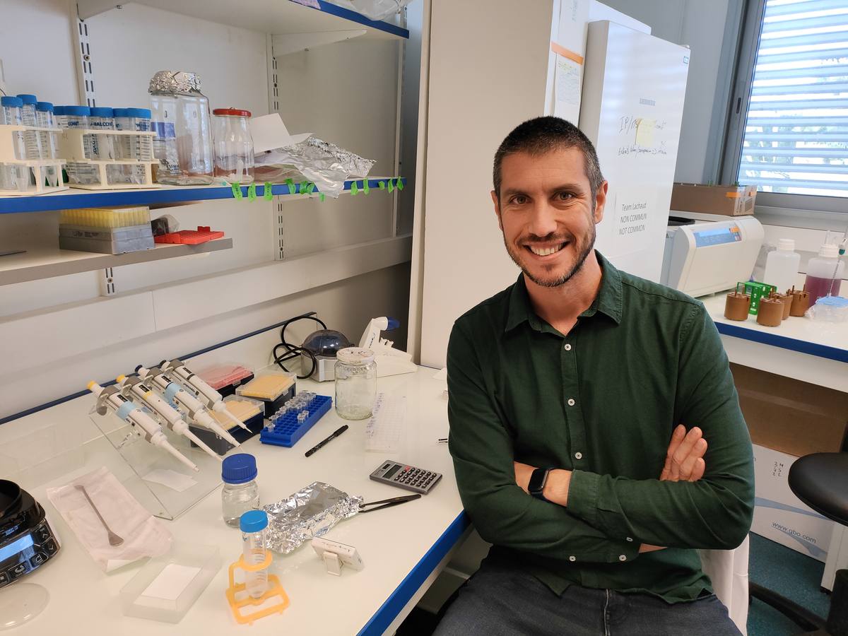 El doctor Manuel Bernabé García, en su poyata de trabajo. 