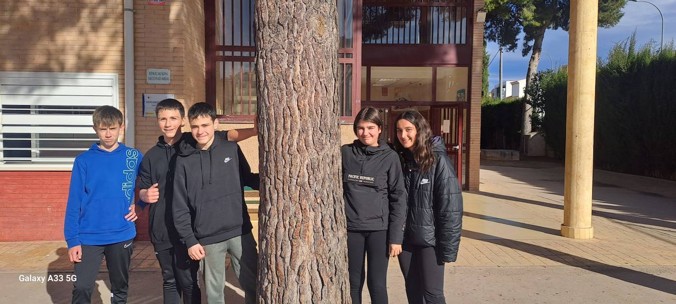 Fotos: Los equipos inscritos en Mi Periódico Digital, en imágenes