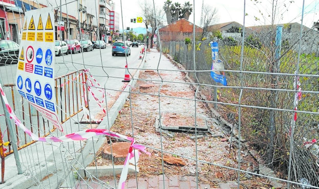 Tala de árboles en la avenida Teniente Montesinos. 