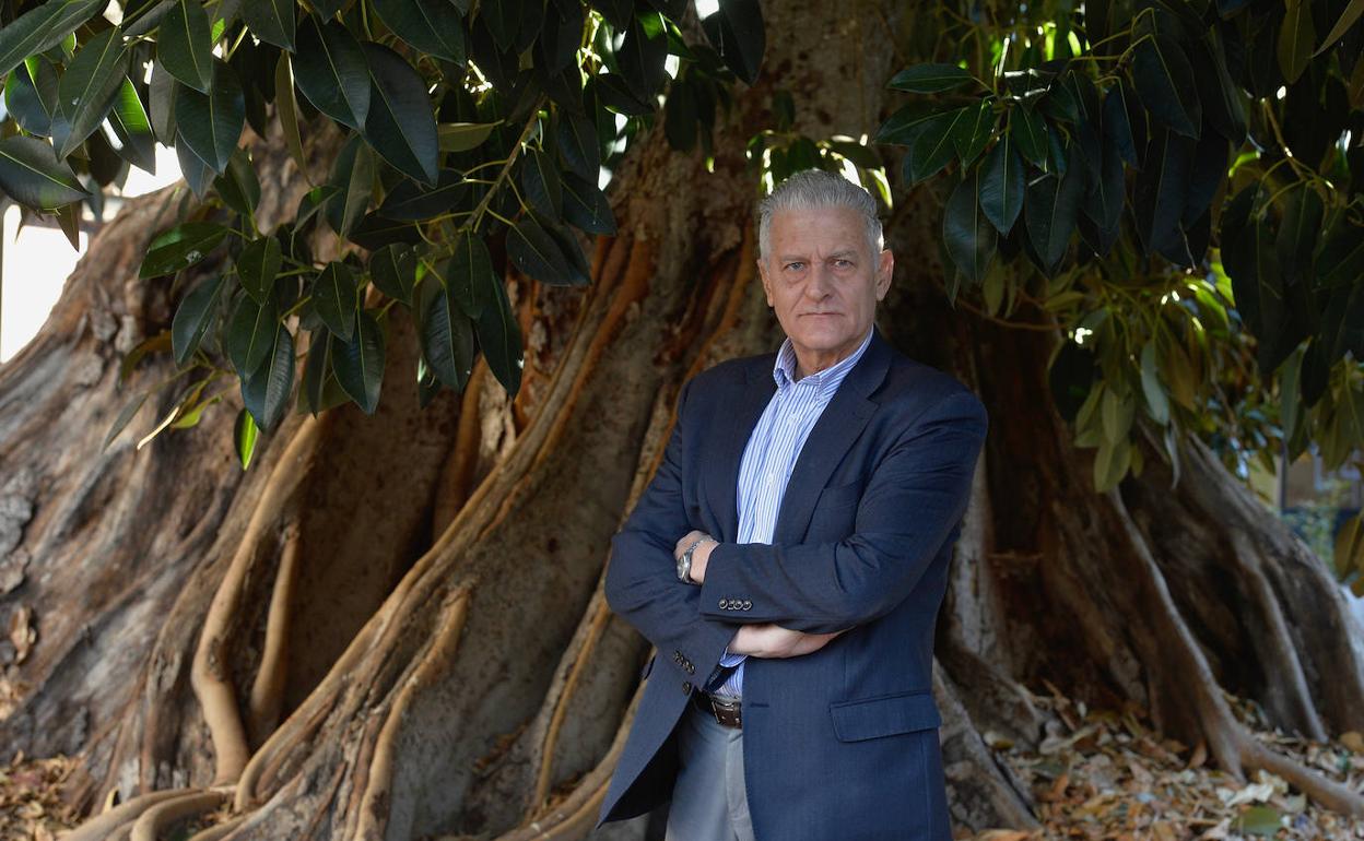 Ángel Campos, en el ficus de Santo Domingo de Murcia. 