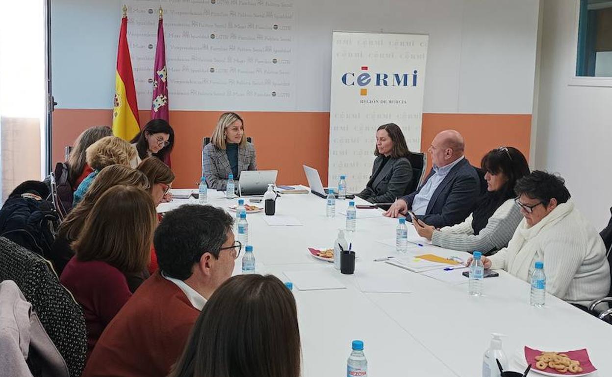 Reunión de la consejera de Política Social, Conchita Ruiz, con el Comité Español de Representantes de Personas con Discapacidad en la Región.