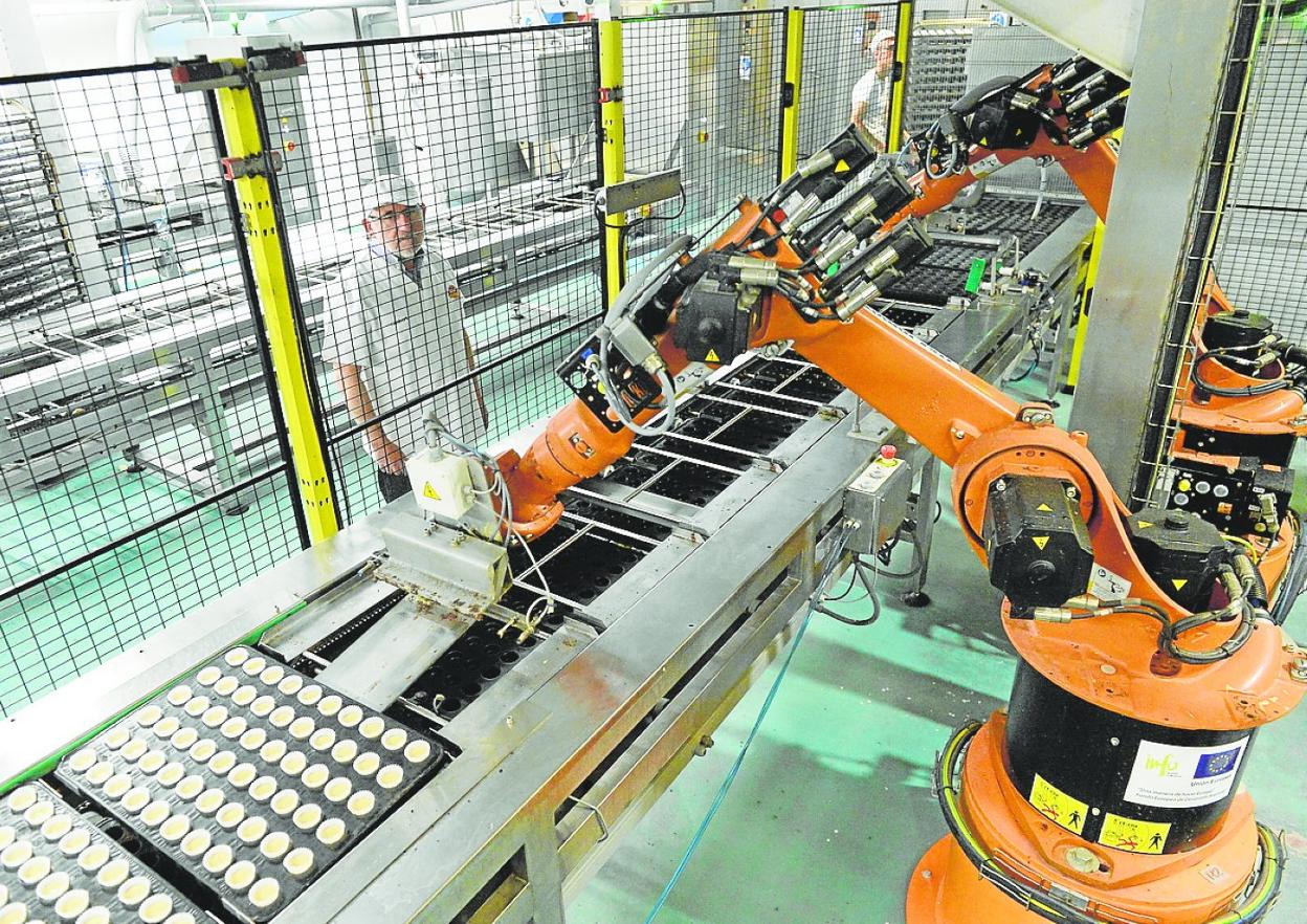 Robots de la empresa molinense Gimar, uno de los referentes de la repostería regional.