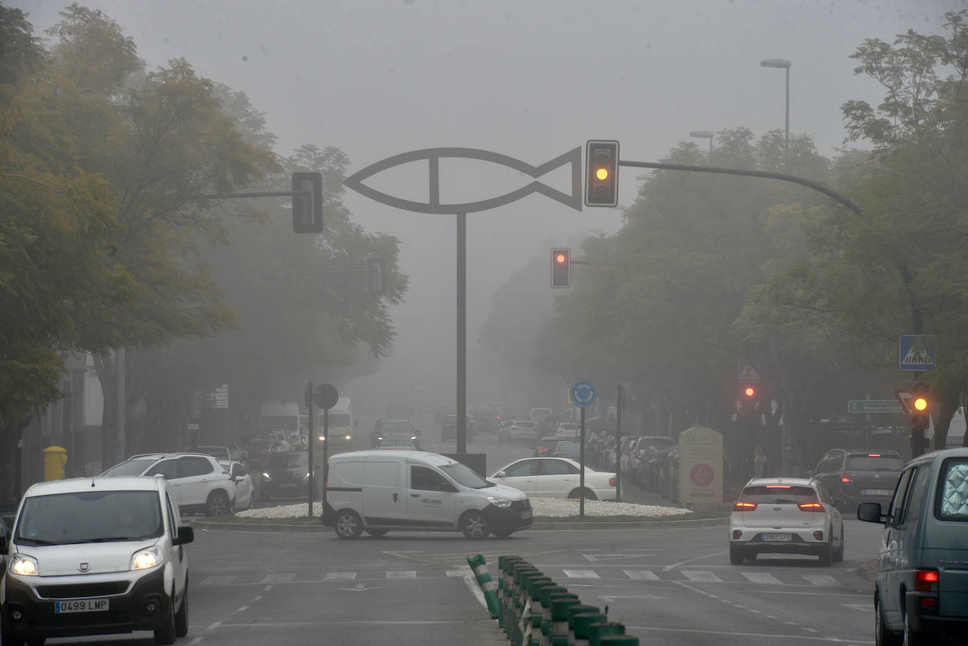 Fotos: La niebla cubre la Región, en imágenes