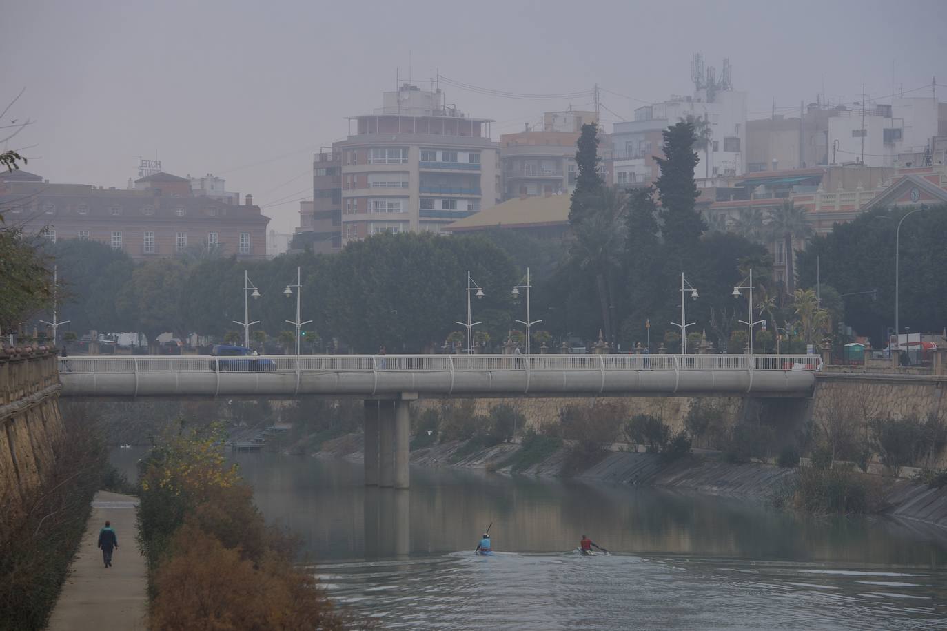 Fotos: La niebla cubre la Región, en imágenes