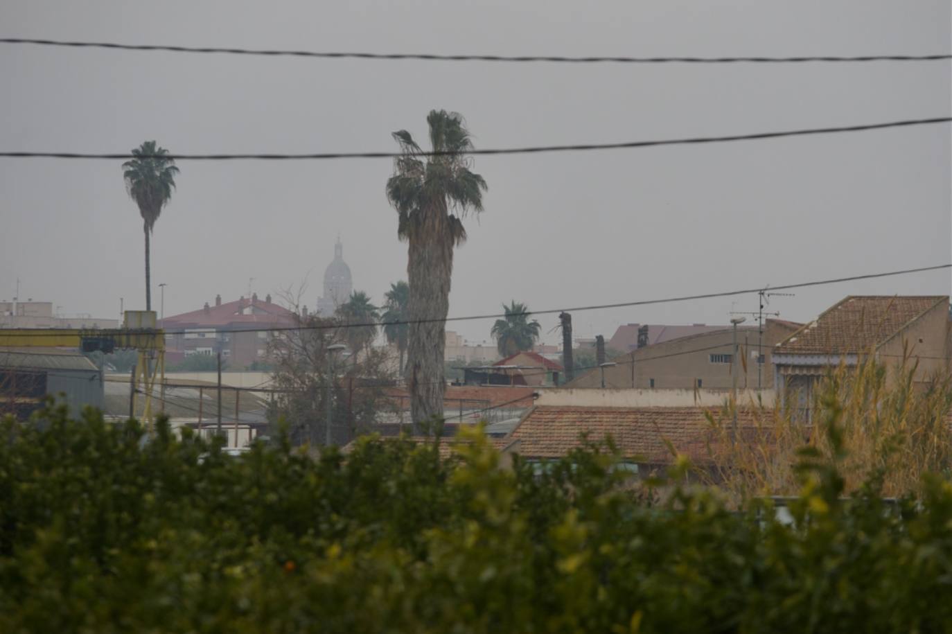 Fotos: La niebla cubre la Región, en imágenes