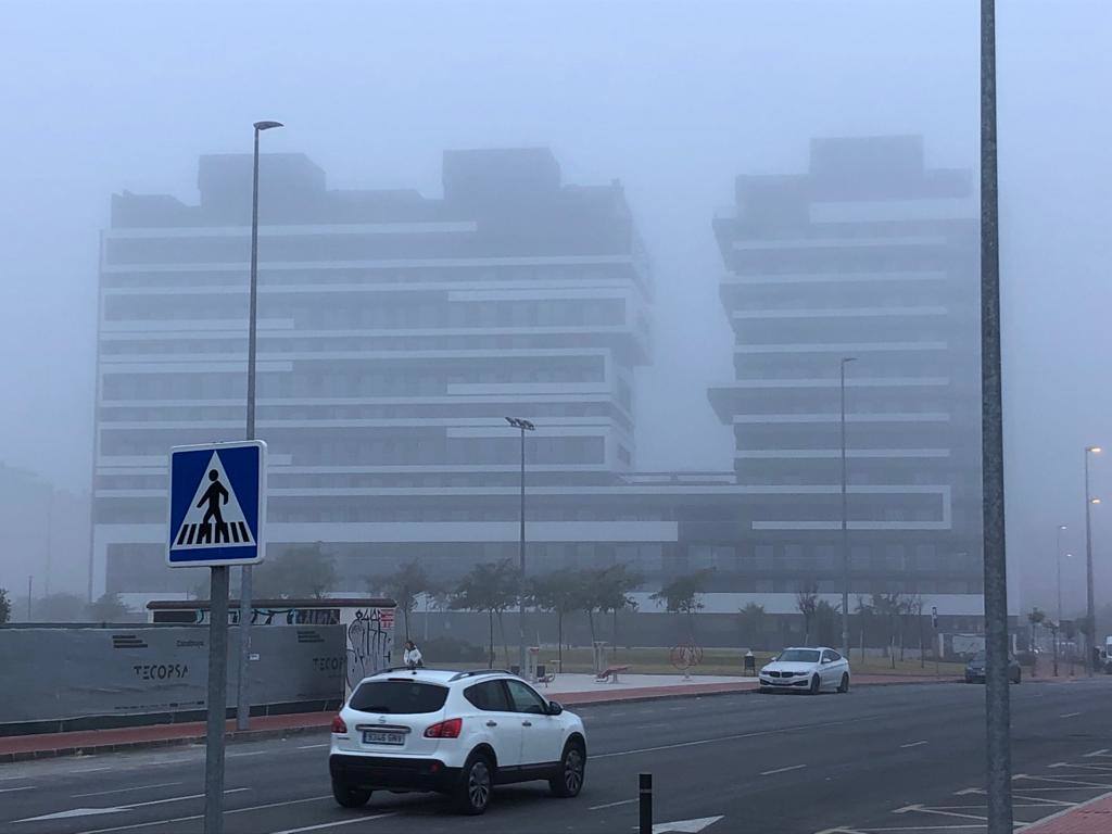 Fotos: La niebla cubre la Región, en imágenes