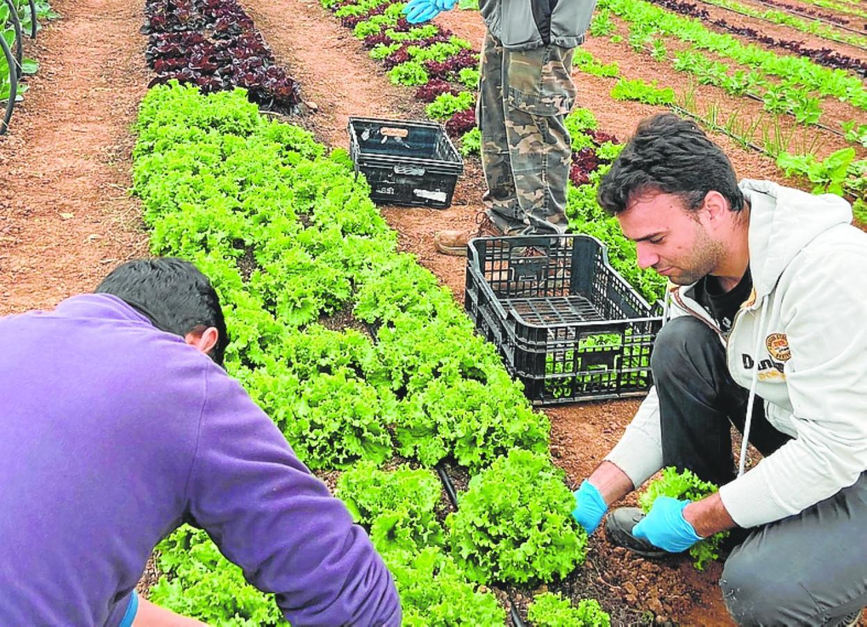 Alumnos en el curso de Agricultura Ecológica. 