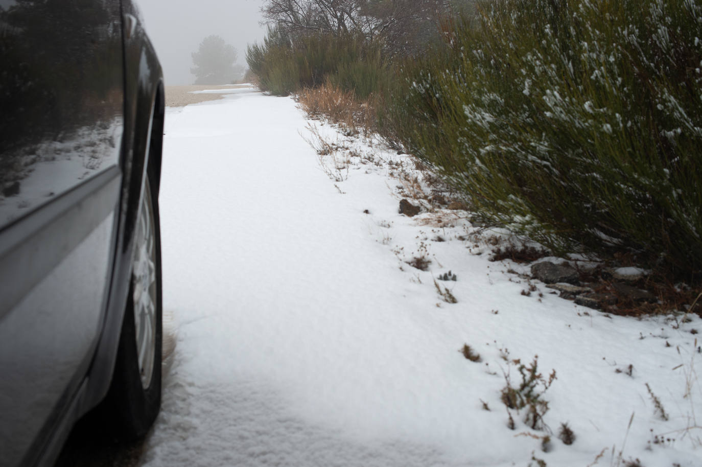 Fotos: La nieve en las pedanías altas de Caravaca y Moratalla, en imágenes