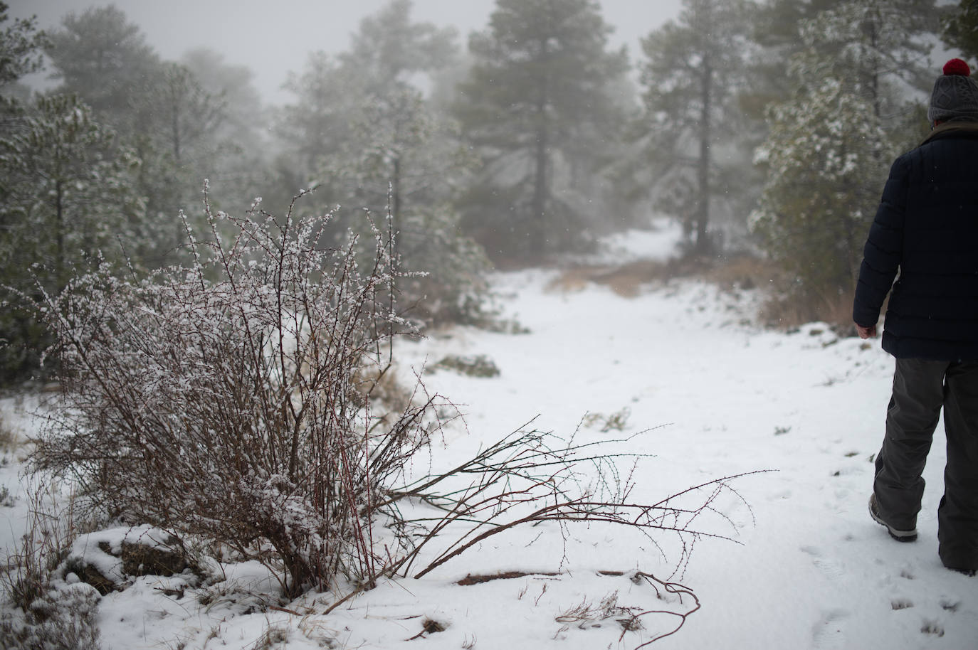 Fotos: La nieve en las pedanías altas de Caravaca y Moratalla, en imágenes