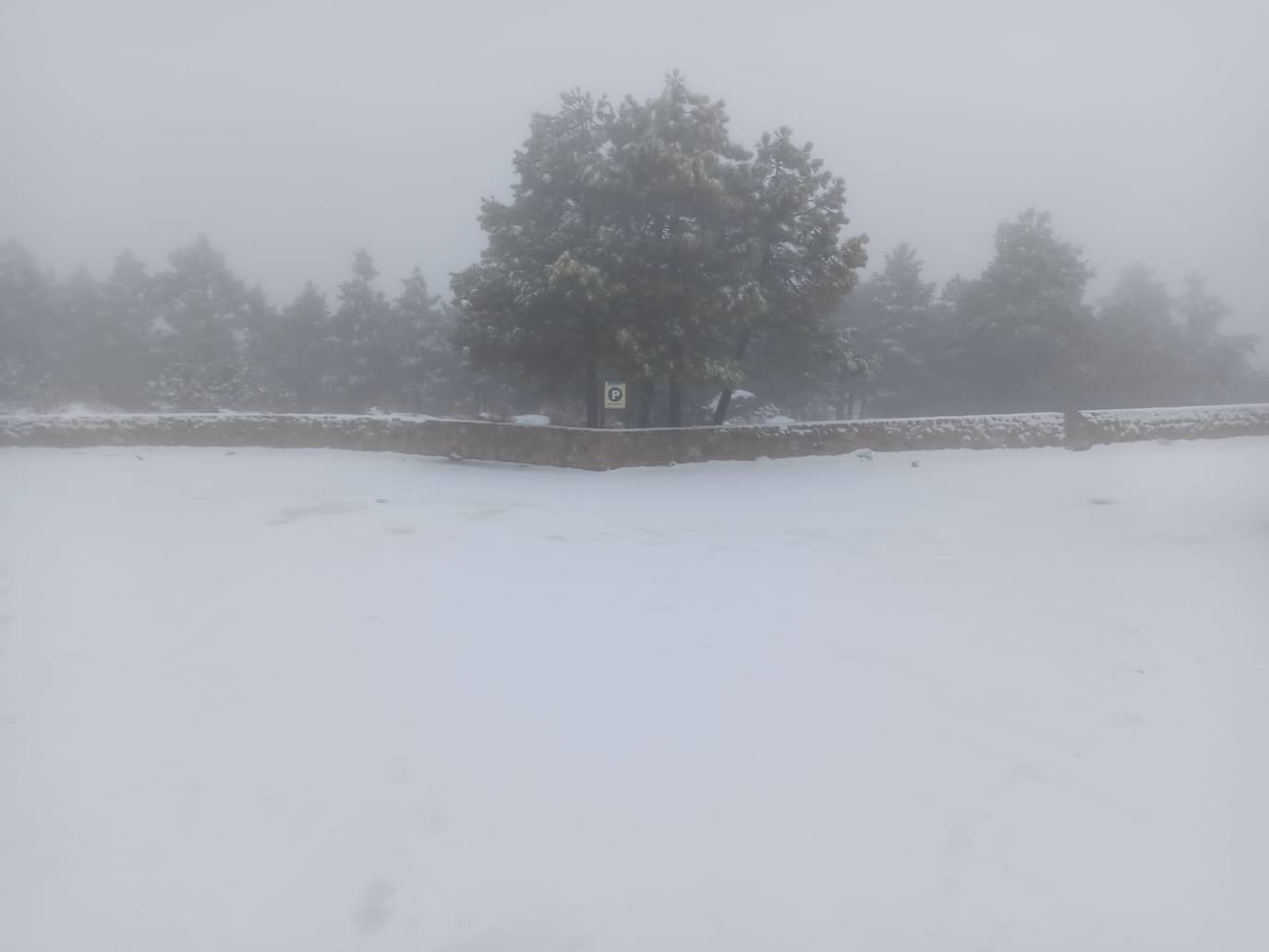 Fotos: Las cumbres de Sierra Espuña se tiñen de blanco por la nieve