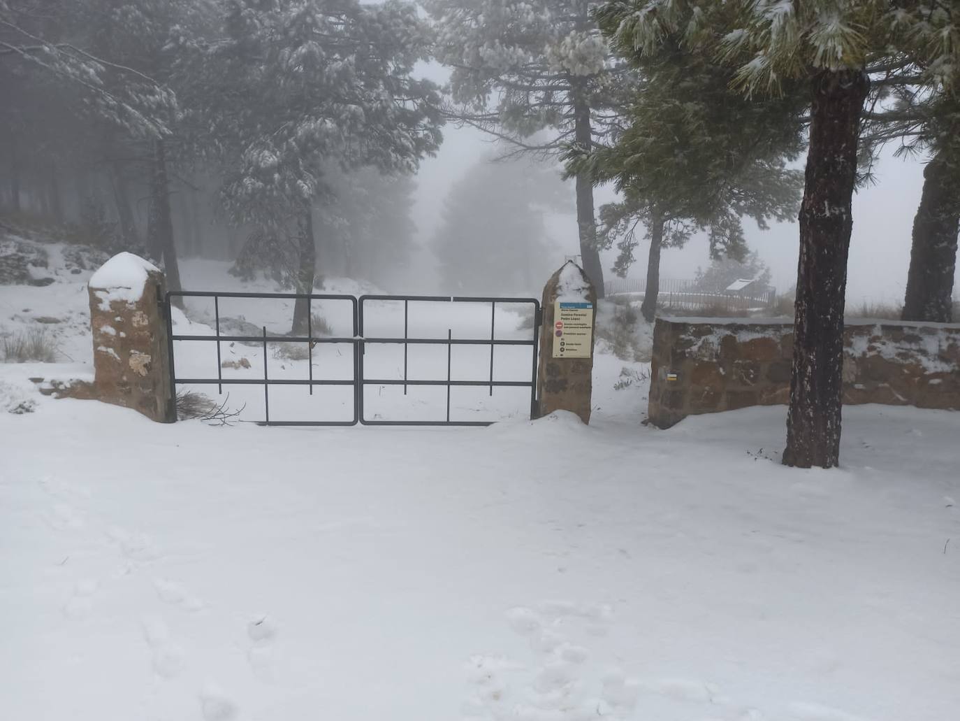Fotos: Las cumbres de Sierra Espuña se tiñen de blanco por la nieve