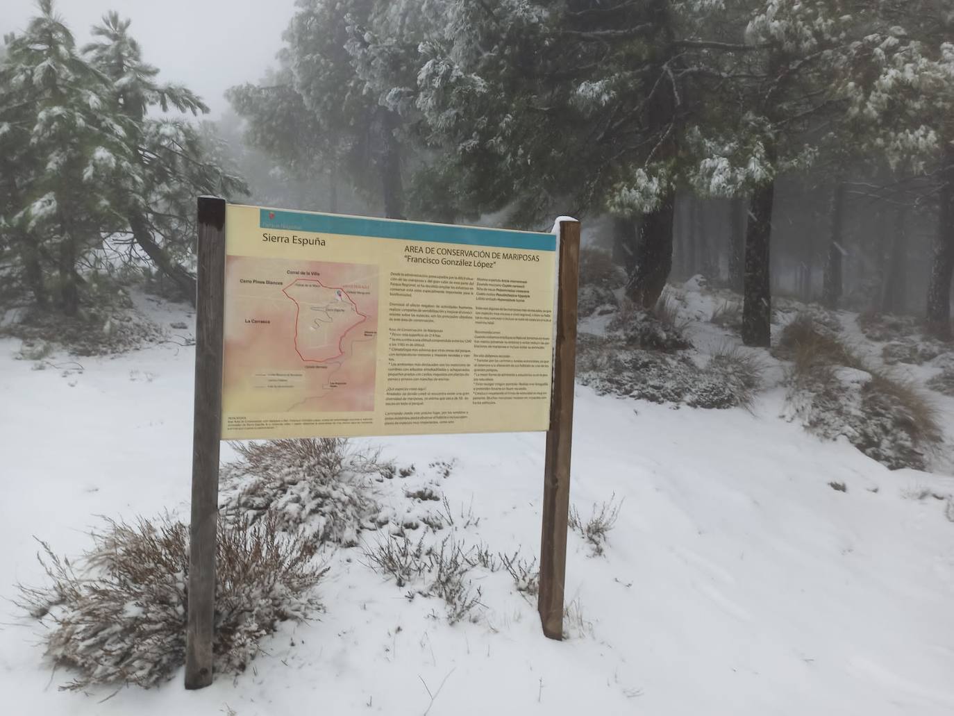 Fotos: Las cumbres de Sierra Espuña se tiñen de blanco por la nieve
