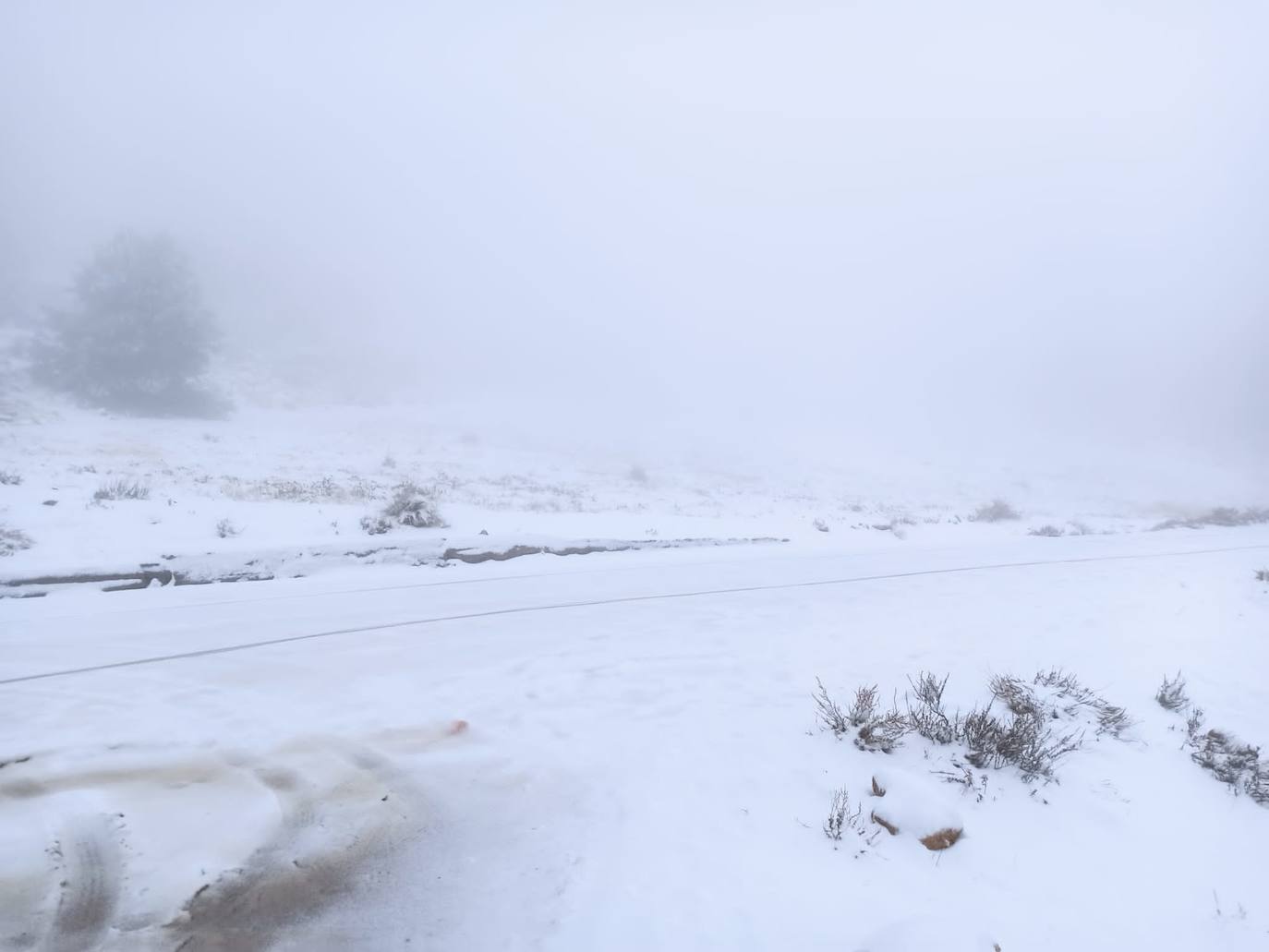Fotos: Las cumbres de Sierra Espuña se tiñen de blanco por la nieve