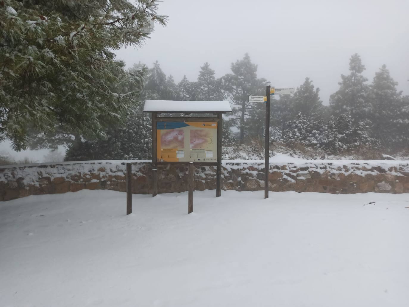 Fotos: Las cumbres de Sierra Espuña se tiñen de blanco por la nieve