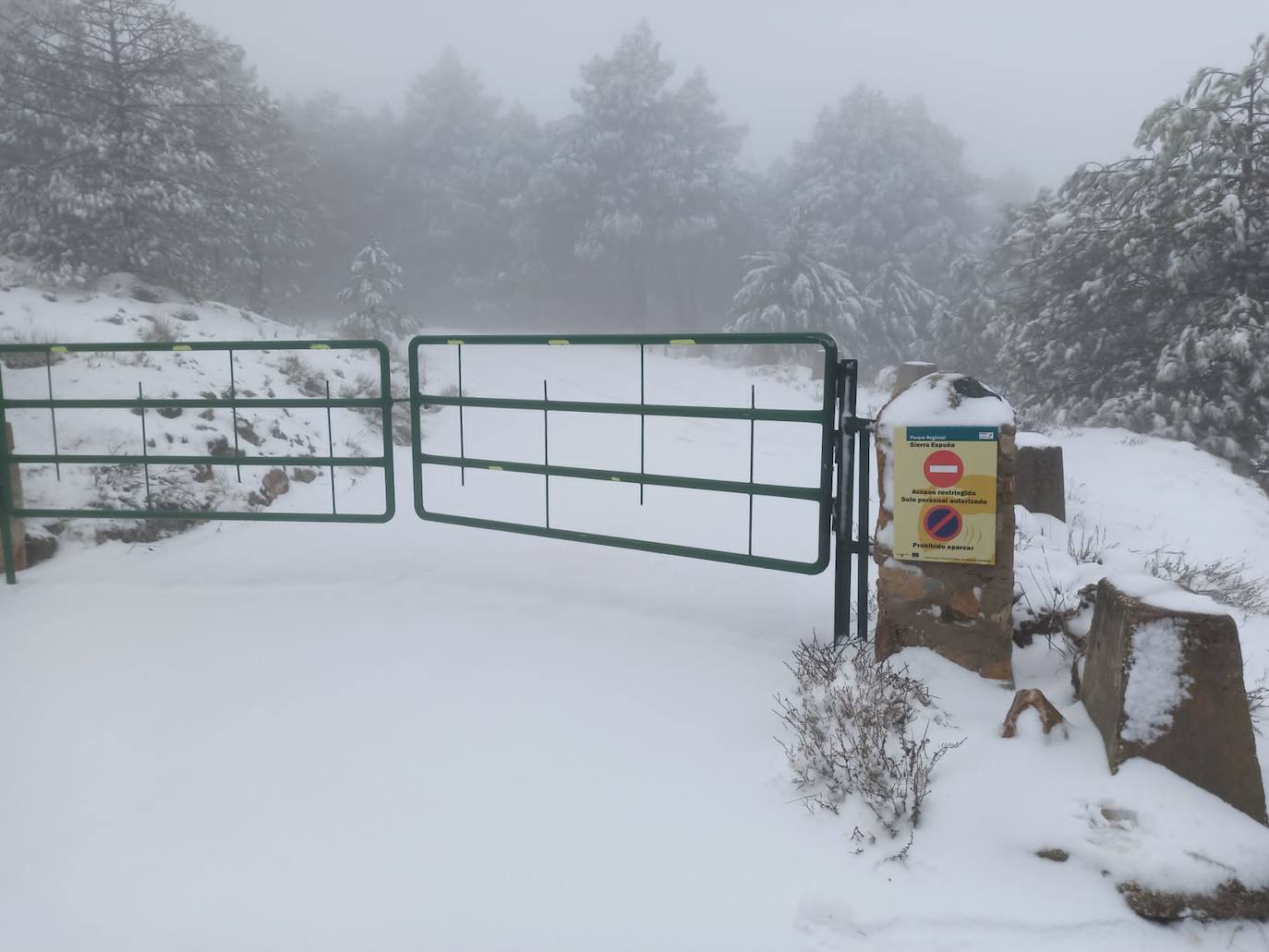 Fotos: Las cumbres de Sierra Espuña se tiñen de blanco por la nieve