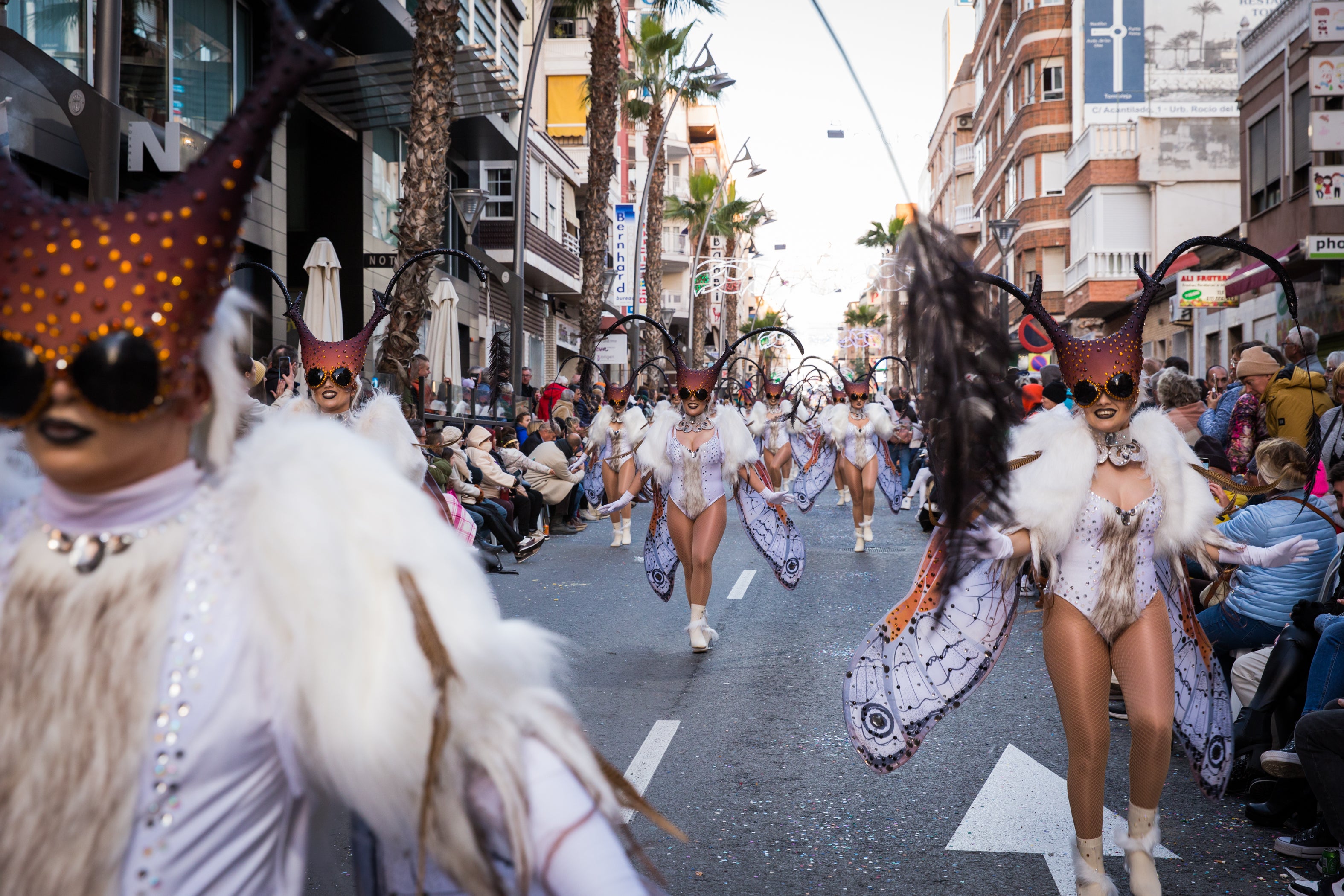 Fotos: Brillante estallido de color y buen baile del carnaval de Torrevieja