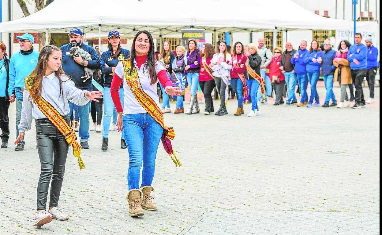 Celebración del Medio Año Festero de los Moros y Cristianos, este domingo.