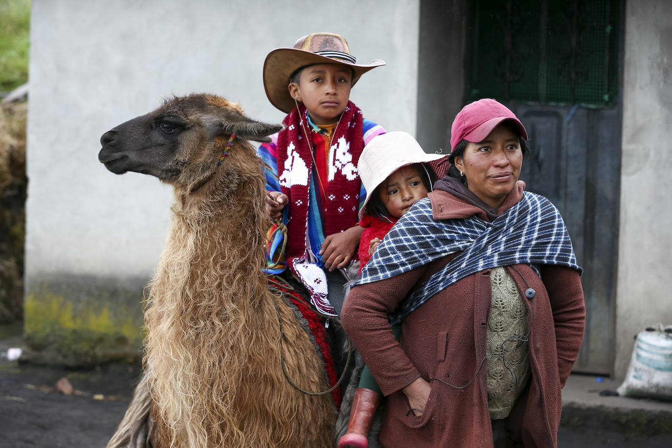 Fotos: Pequeños jinetes para las llamas de los Andes