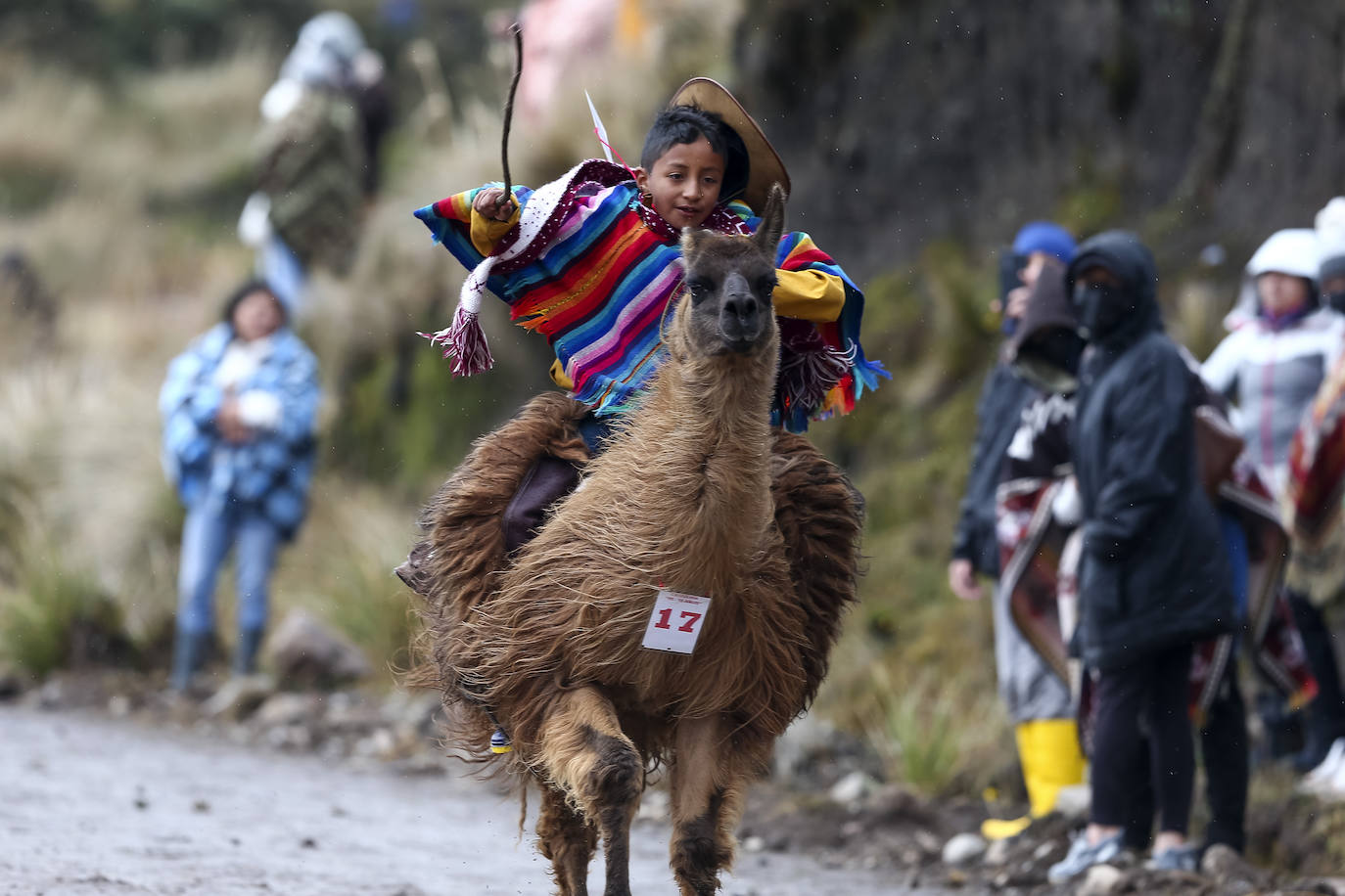 Fotos: Pequeños jinetes para las llamas de los Andes