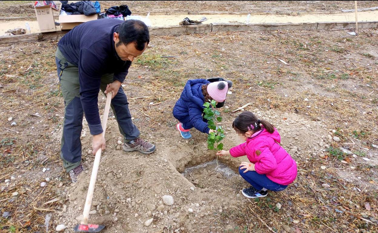Labores de reforestación en el paraje El Caño de Abarán.