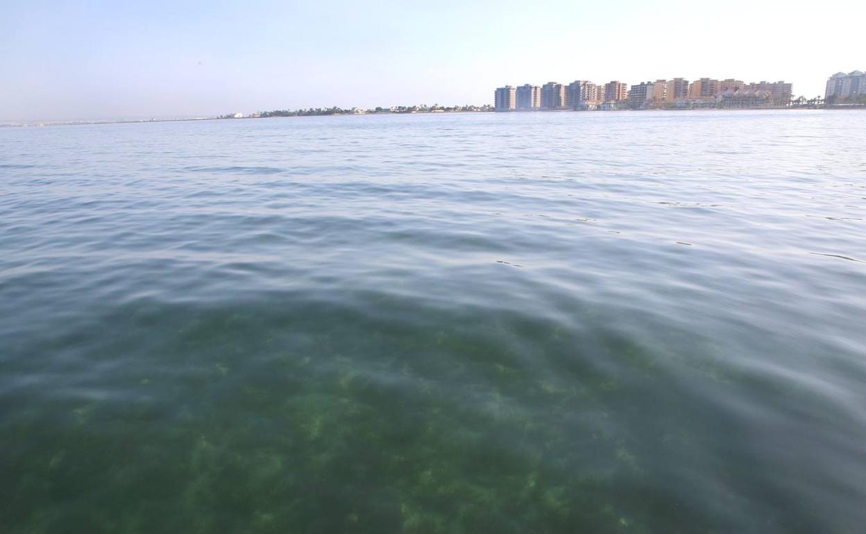 Imagen de archvio del estado del agua en el Mar Menor. 