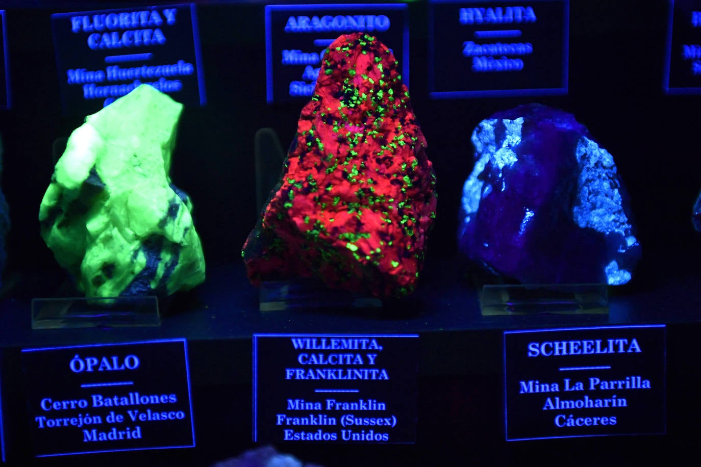 Minerales expuestos en la Sala Negra de Luminiscencia