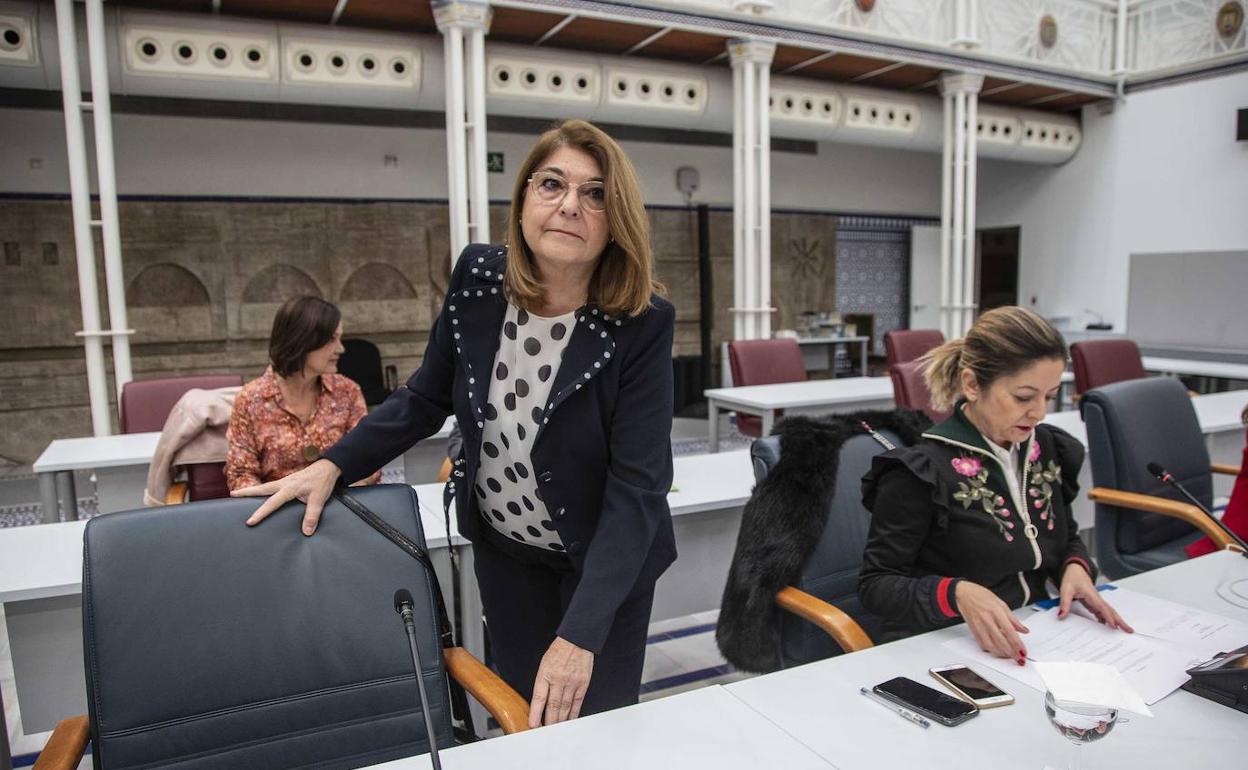 Mabel Campuzano, durante una comparecencia en la Asamblea Regional. 