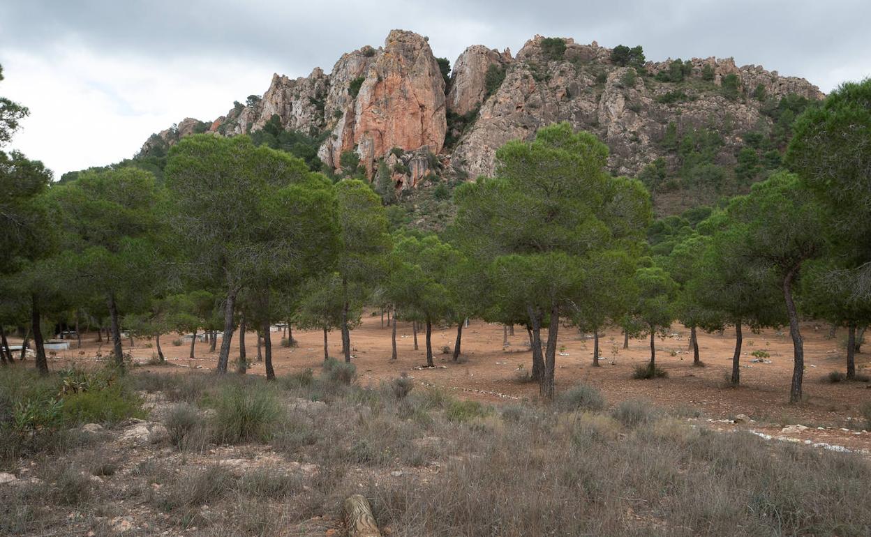 La Cresta del Gallo, considerada lugar de interés geológico 