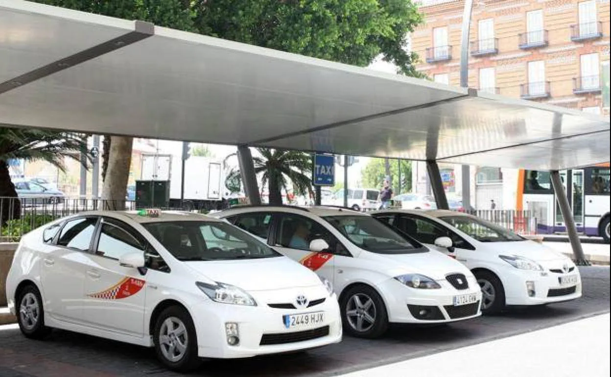 Los taxis de Murcia ya ofrecen una aplicación para reservar y conocer el  precio del trayecto previamente | La Verdad