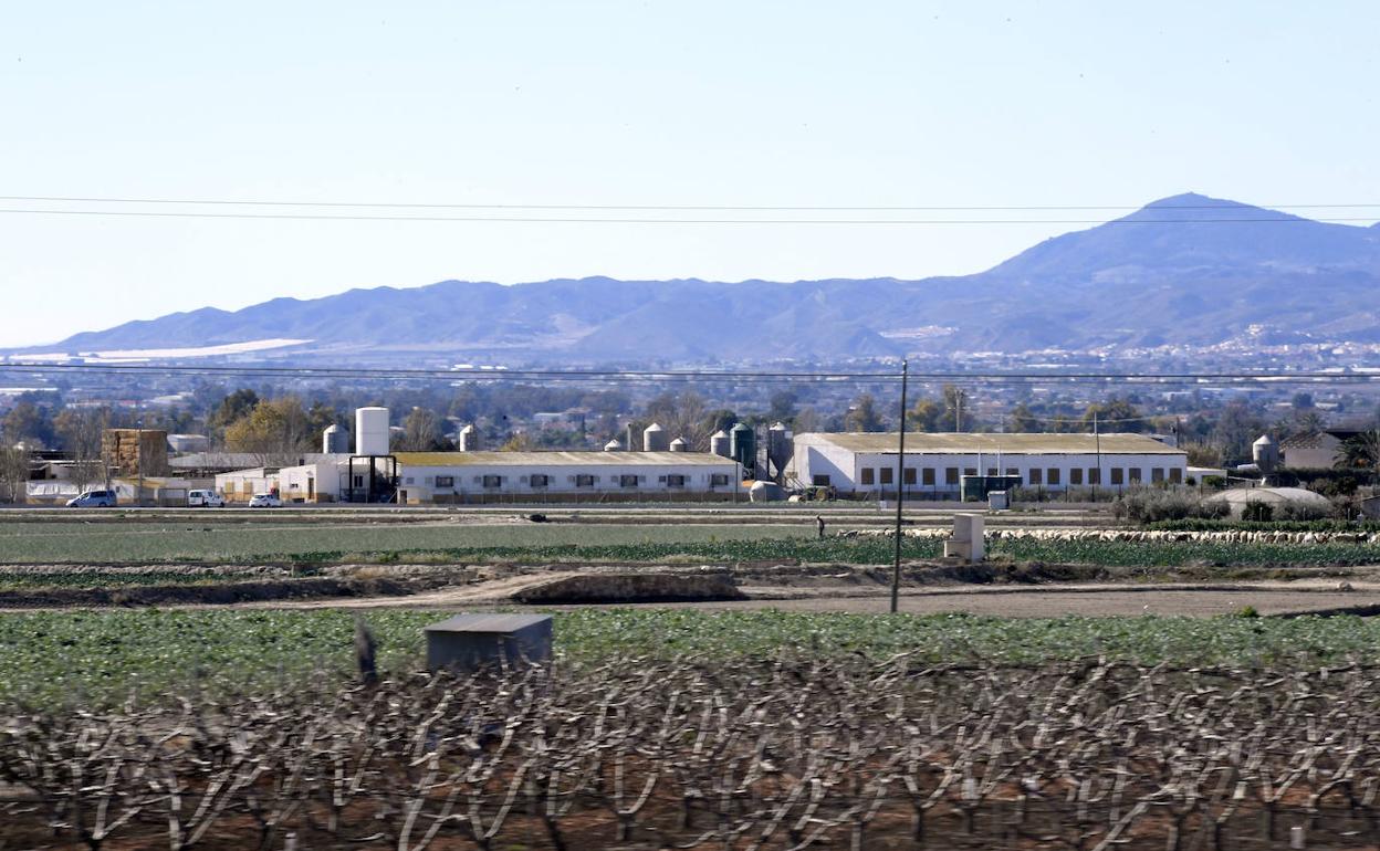 Imagen de archivo de una granja en Lorca.