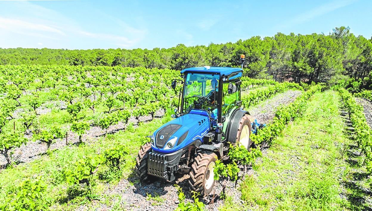 Grupo Buitrago está especializado en el sector agrícola. A la derecha, instalación en Mula. 
