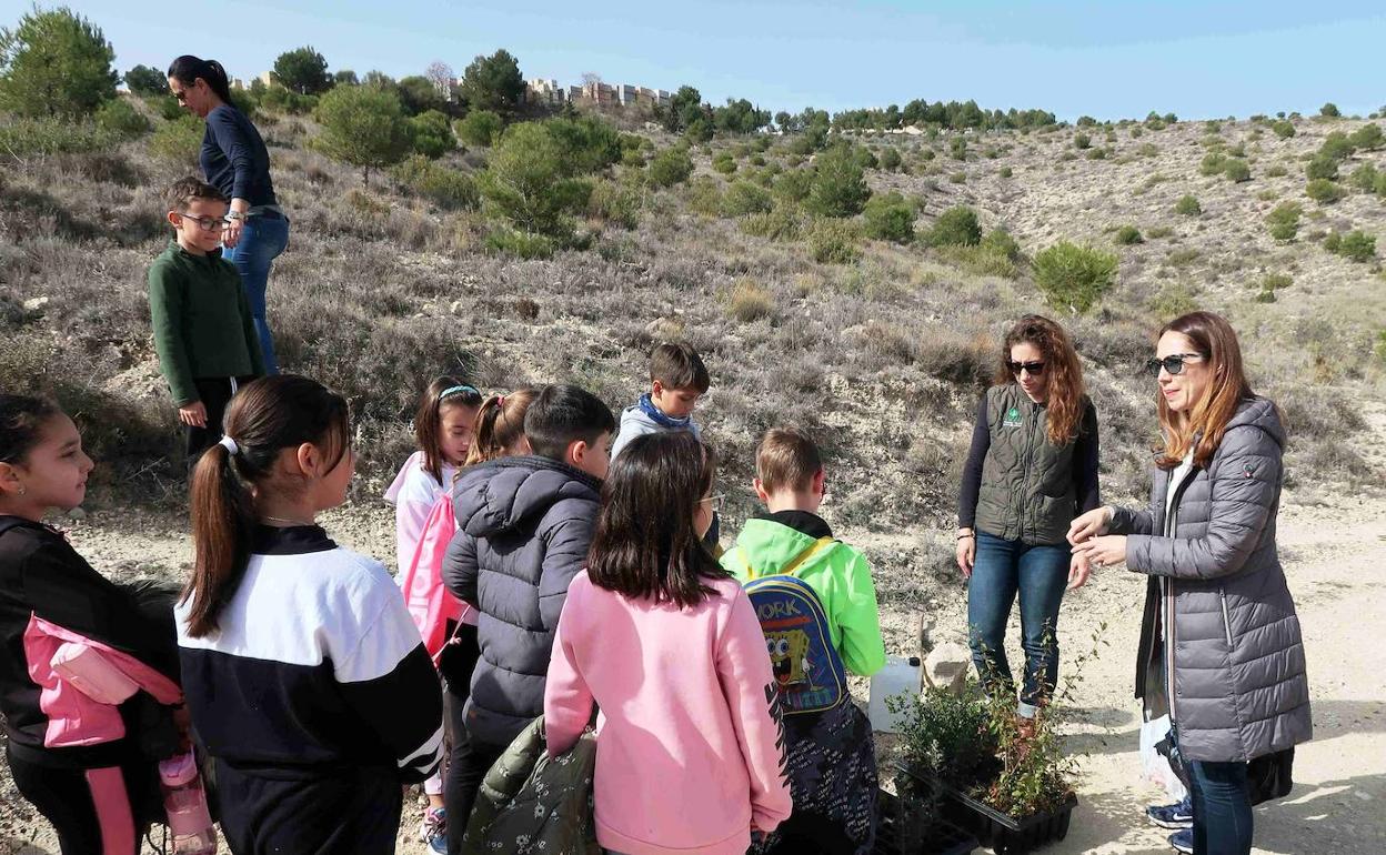 Los alumnos atienden las explicaciones de la concejal de Medio Ambiente. 