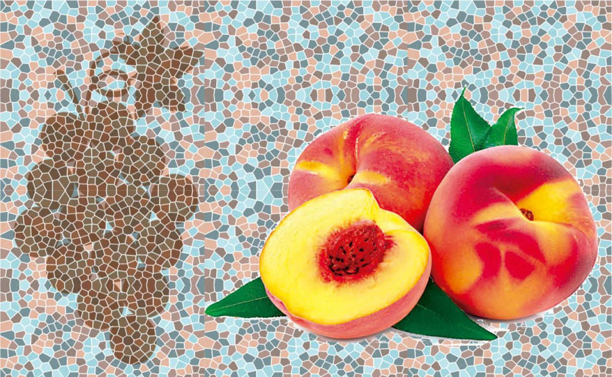 El melocotón de Cieza: La fruta de la inmortalidad