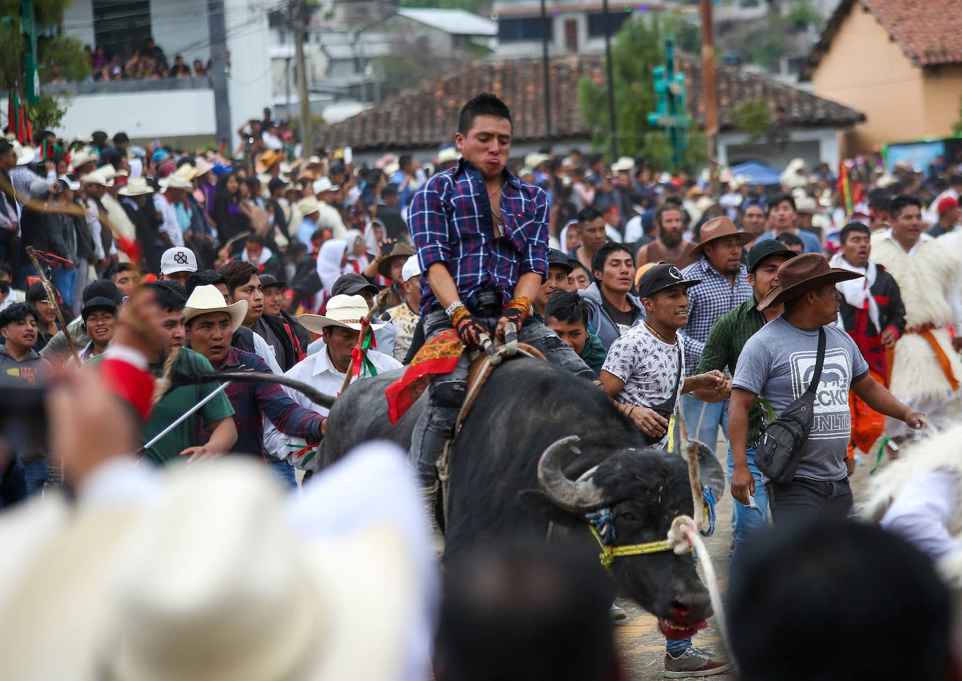 Fotos: Jugando con toros