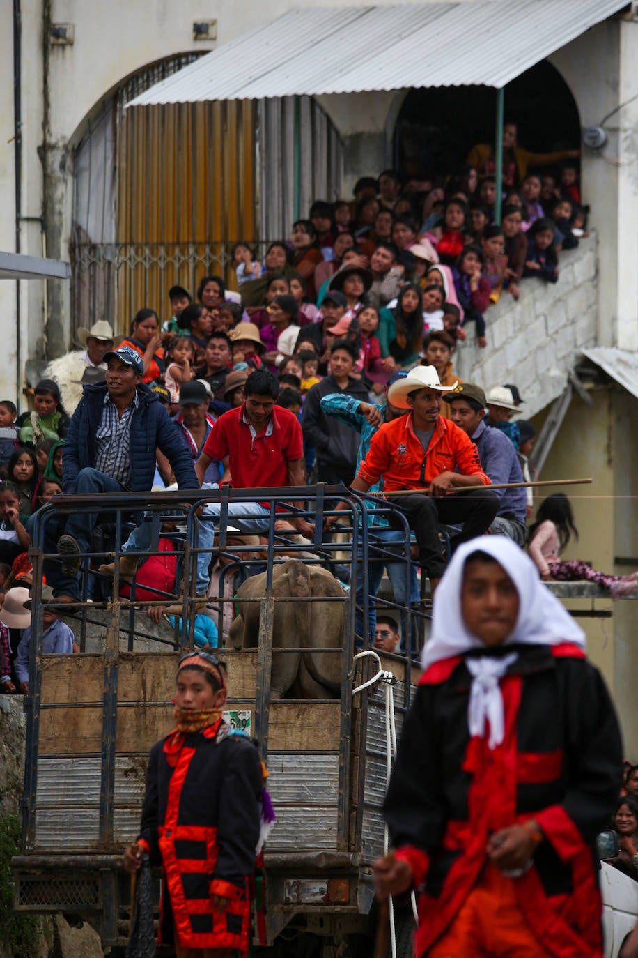 Fotos: Jugando con toros