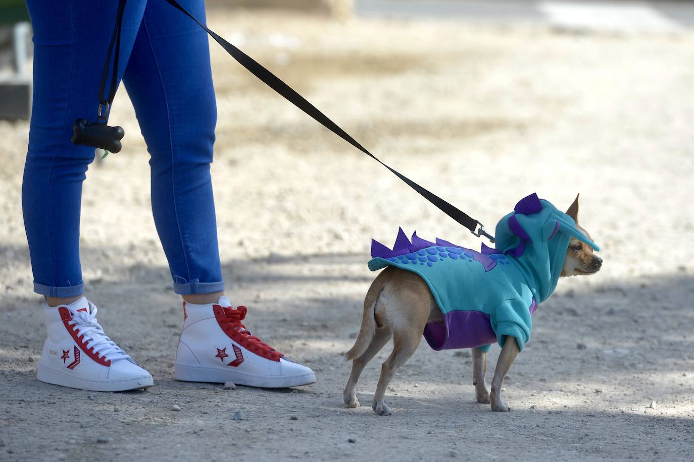Fotos: El concurso de disfraces de mascotas del Carnaval de Cabezo de Torres, en imágenes