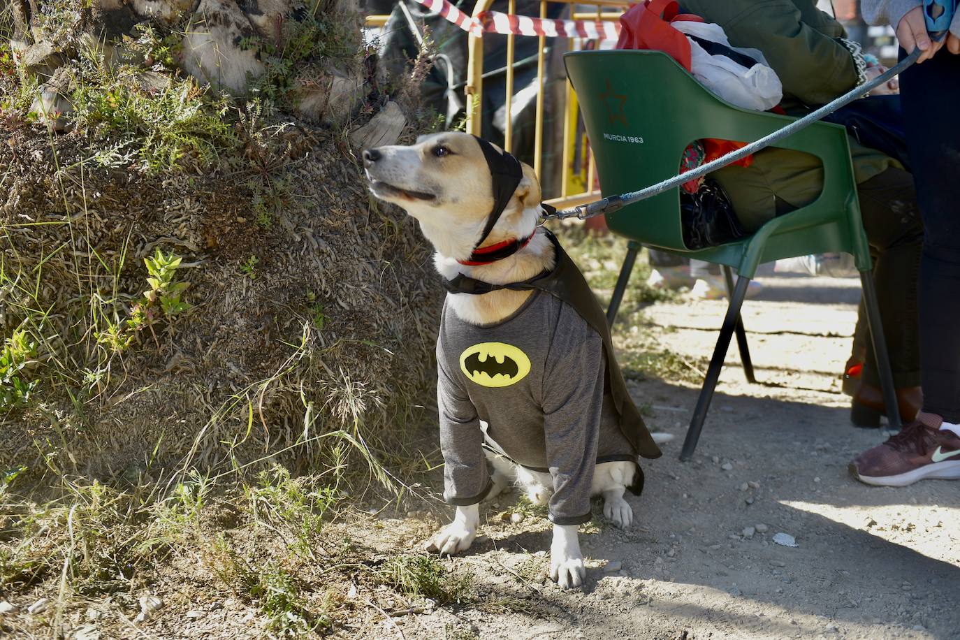 Fotos: El concurso de disfraces de mascotas del Carnaval de Cabezo de Torres, en imágenes