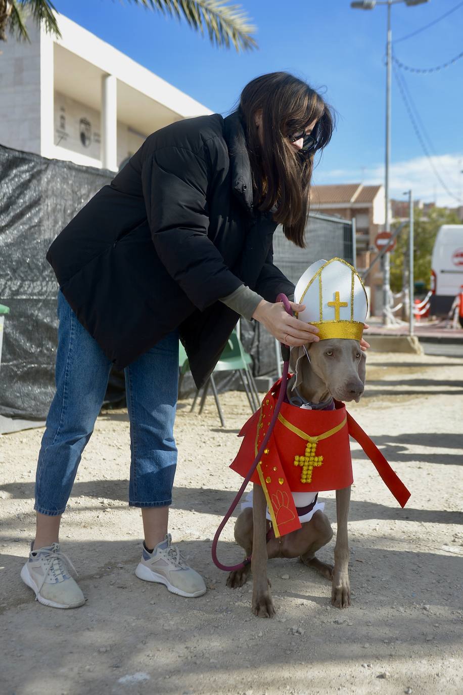 Fotos: El concurso de disfraces de mascotas del Carnaval de Cabezo de Torres, en imágenes